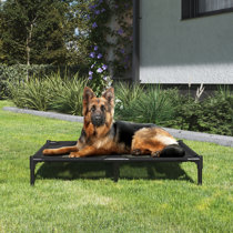 Pet cots for sales sale